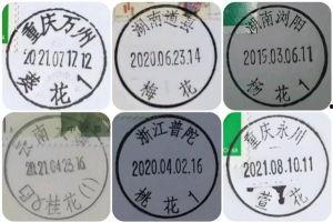 成人久久网91精产品